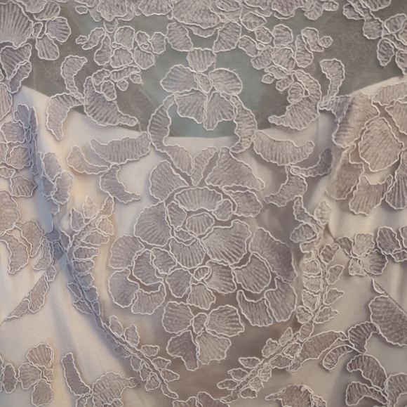 Tadashi Shoji Yosamu Dusty Rose Latte Nude Lace Sheath Cocktail Dress Size 2 - Picture 14 of 16